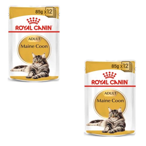 Royal Canin Maine Coon Adult | Paquete Doble | 2 x 12 x 85 g | Comida húmeda para Gatos | Especialmente Adaptada a Las Necesidades de los Gatos Maine Coon | Contenido energético Ajustado